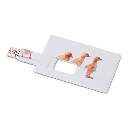 MEMORAMA 16 GB USB zibatmiņa kredītkartes formātā